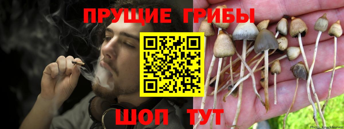 цены наркотик  Псилоцибиновые грибы ЛСД  Вход с VPN  Нерюнгри  Галлюциногенные грибы мухоморы 
